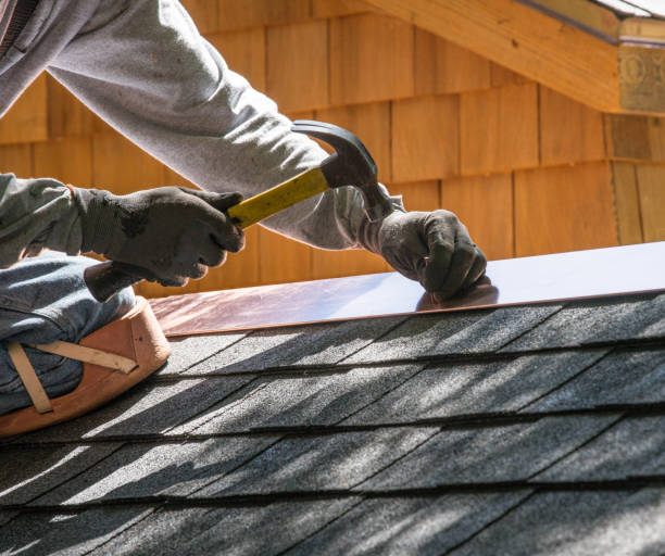 Best Metal Roofing Contractor  in Danville, AR